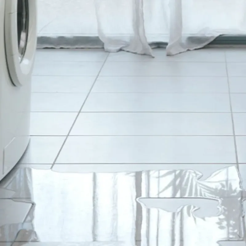 Appliance Leak Cleanup in Cutlerville, MI
