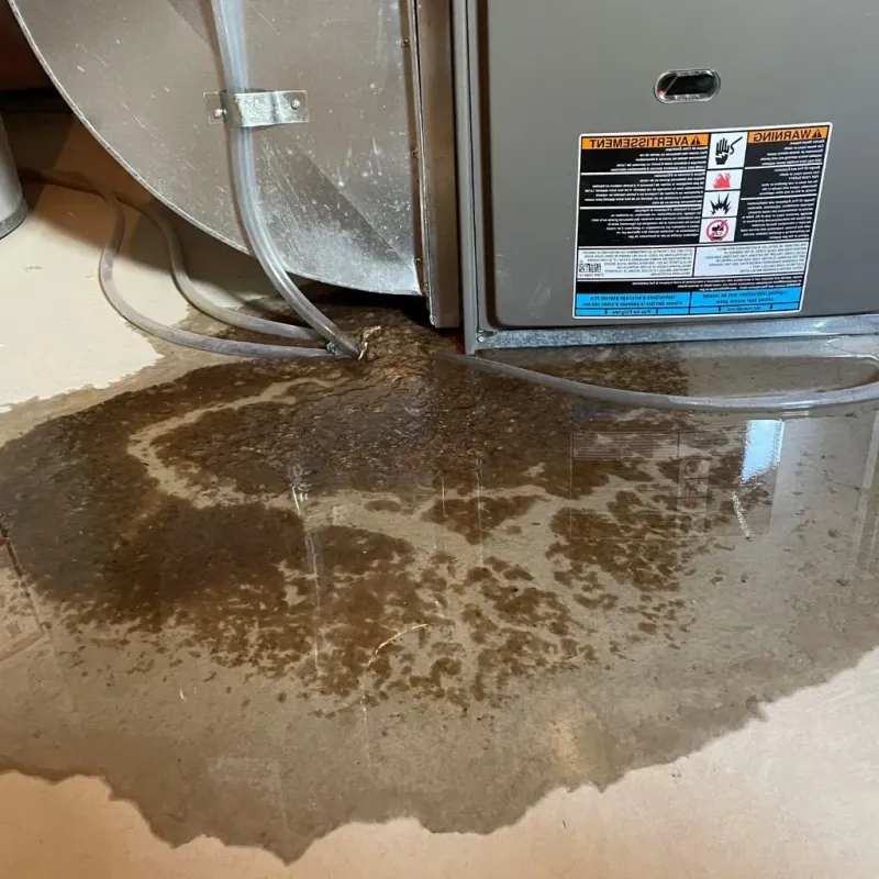 Pipe Burst and Leak Restoration in Cutlerville, MI